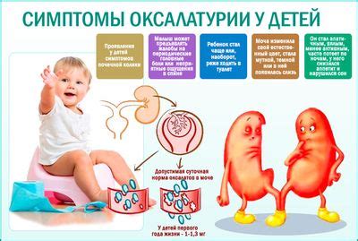 Профилактика образования оксалатов в кале у ребенка