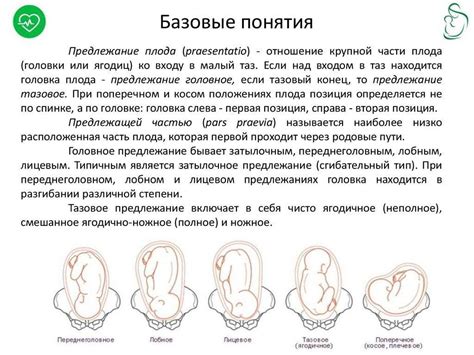 Профилактика переднего виде затылочного предлежания