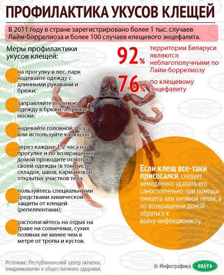 Профилактика укусов клещей