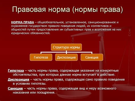 Процессуальная норма права: суть и особенности