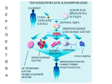 Процесс наследственной субституции