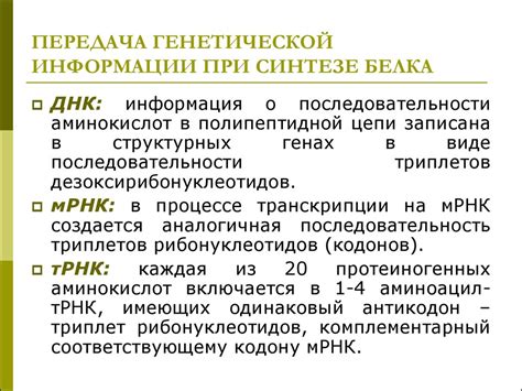 Процесс передачи наследственной информации