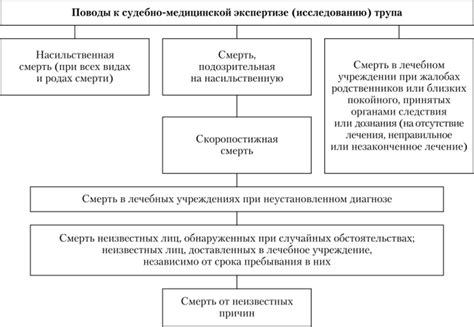 Процесс проведения судмедэкспертизы