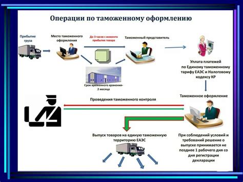 Процесс прохождения миграционного и таможенного контроля