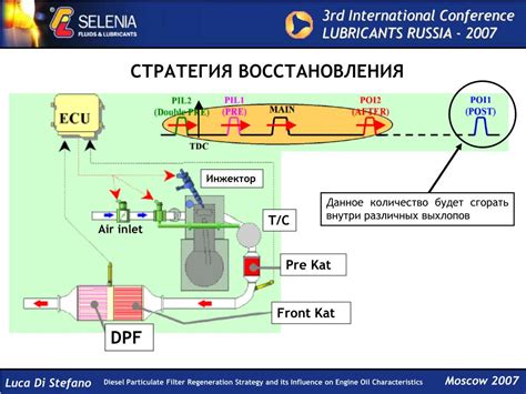 Процесс регенерации и его фазы