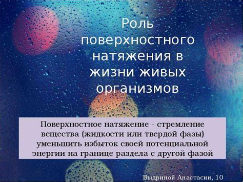 Проявления поверхностного натяжения в повседневной жизни