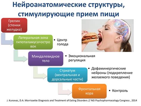 Психологические аспекты поведения щенка