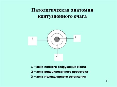 Психологические симптомы контузионного очага