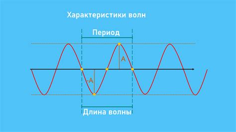 Пульсовая волна и ее значение