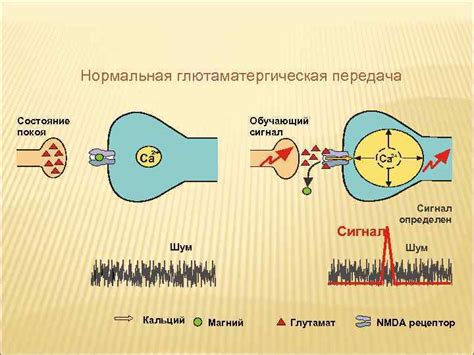 Пыльцевая передача - состояние разнообразия