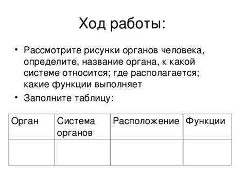 Работа органов и систем