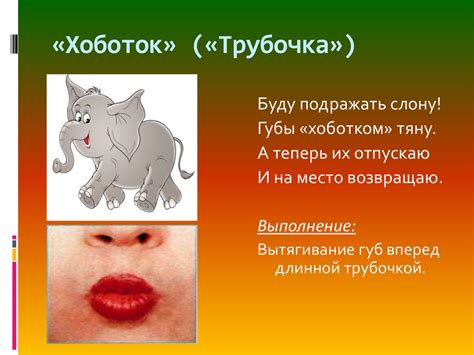 Работа со смычком и артикуляцией