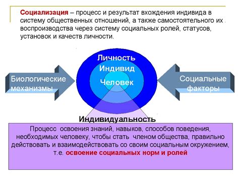 Разбор смысла и особенностей социальных связей