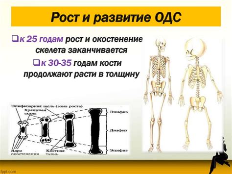 Развитие ОДС