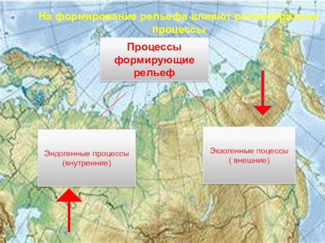 Развитие включает разнообразные процессы