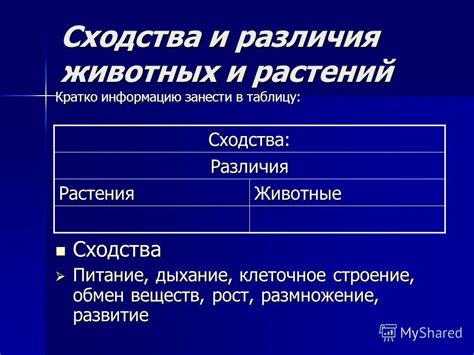 Развитие и рост: сходства и различия