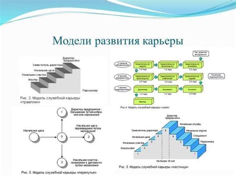 Развитие карьеры в зоомагазине