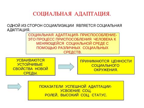 Развитие социальной адаптации