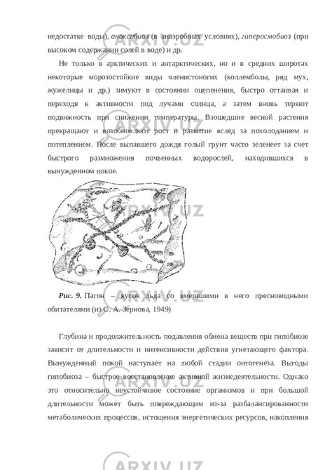 Развитие экологической классификации