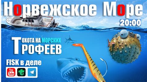 Развлечение и охота на морских жителей