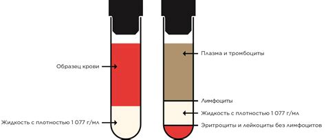 Разделение с помощью центрифугирования