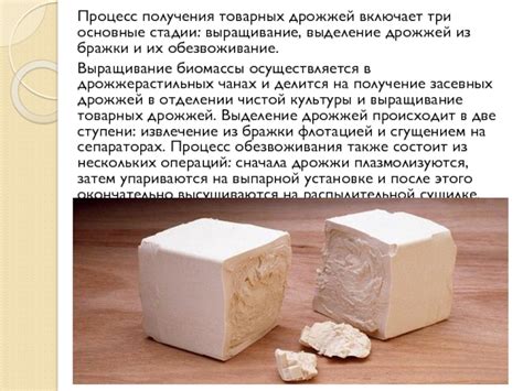 Разделение товарных дрожжей и бражки