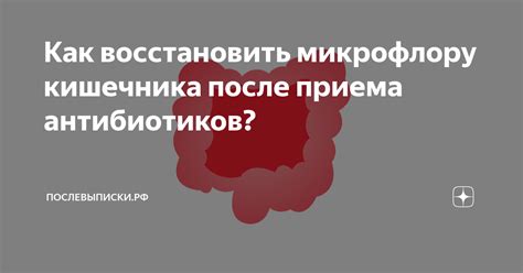 Раздел 1: Почему важно восстанавливать микрофлору после приема антибиотиков