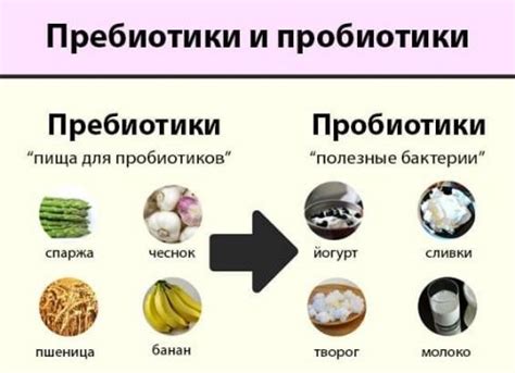 Раздел 2: Какие продукты помогут восстановить микрофлору после приема антибиотиков