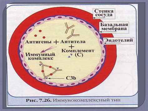 Раздел 2: Кратковременная иммунологическая память