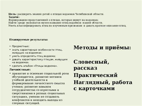 Раздел 5: Использование представлений о птицах для личностного роста