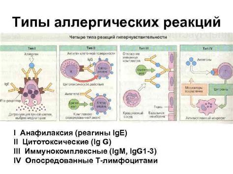 Раздел 5: Повышенный риск аллергических реакций от употребления шпротов в масле