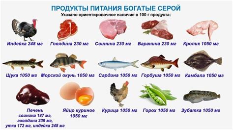 Раздел 7: Серебро в продуктах питания