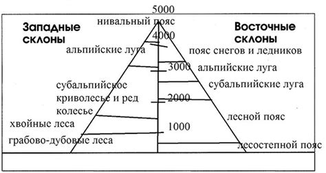 Различия высотной поясности в Кавказских горах