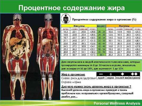 Различия в количестве жировой ткани у мужчин и женщин