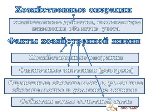 Различия в правовом регулировании бюджетного учета и бухгалтерского учета