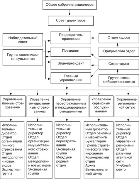 Различия в структуре организации