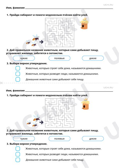 Различия в условиях размещения пассажиров