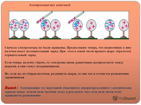 Различия в электрическом заряде