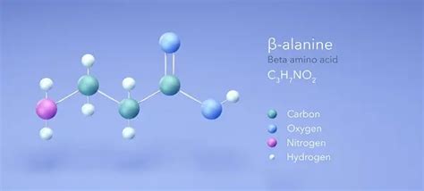 Различия между аланином и бета аланином