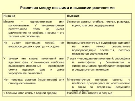 Различия между низшими и высшими растениями