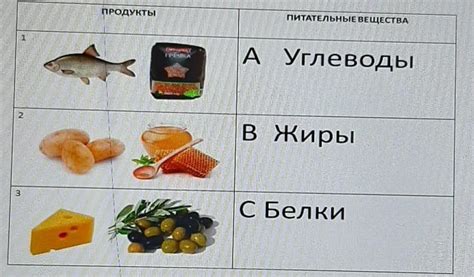 Различия между питательными веществами и пищевыми продуктами