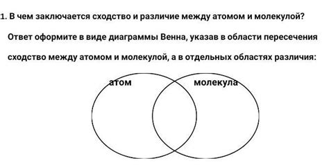 Различия между радикалом и корнем