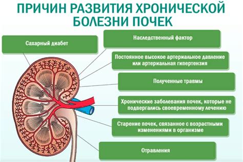 Различные заболевания почек