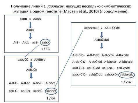 Различные методы исследования для выявления мутаций в генотипе gg