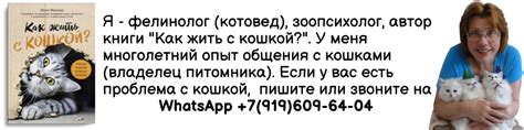 Размножение и плодовитость сук во время течки