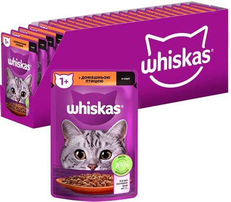 Разновидности влажного корма Whiskas и Kiticat+