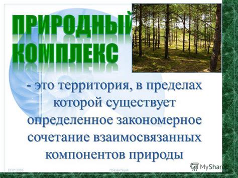 Разнообразие природных ресурсов России: возможности и вызовы