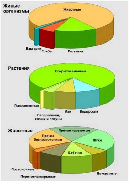 Разнообразие форм жизни источников