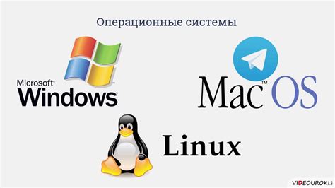 Разработайте приложение или программное обеспечение