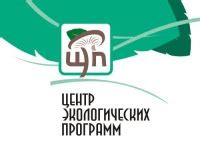 Разработка экологических программ